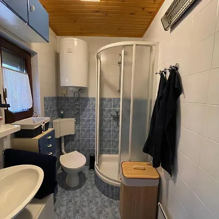 Vintage House Šoštanj