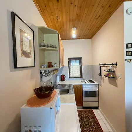 펜션 Vintage House