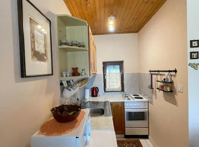 Počitniška hiša Vintage House