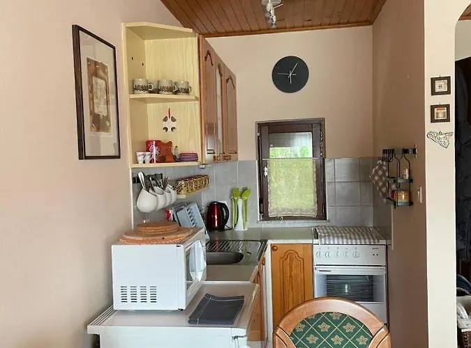 Vintage House * Sostanj