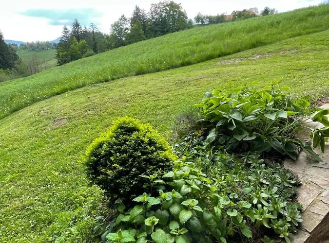 Vintage House Počitniška hiša *